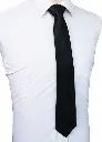71Av92u1DwL._AC_SY550_.webp