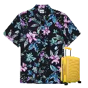 du-lich.webp